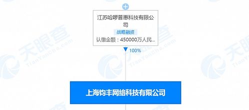 哈啰出行關(guān)聯(lián)公司注冊(cè)資本增至45億人民幣，信息系統(tǒng)集成服務(wù)成發(fā)展新引擎